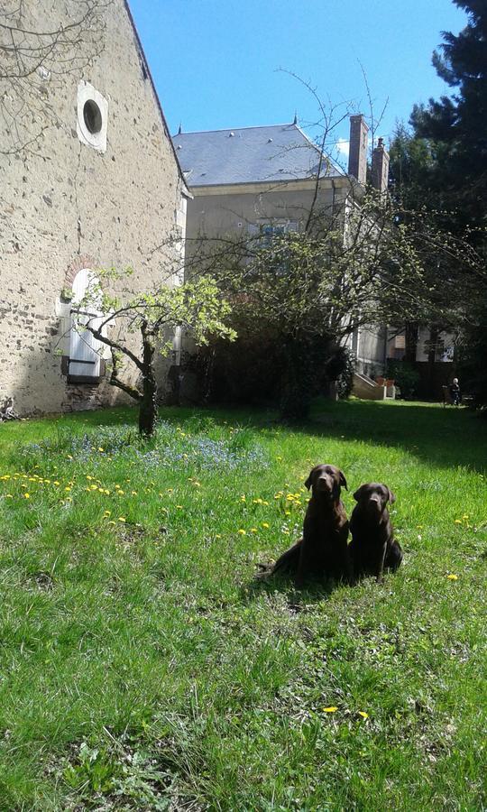 La Sauldre Bed & Breakfast Vailly-sur-Sauldre Exterior photo
