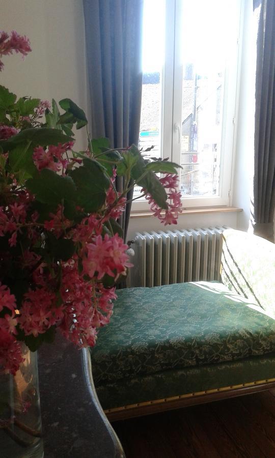 La Sauldre Bed & Breakfast Vailly-sur-Sauldre Exterior photo