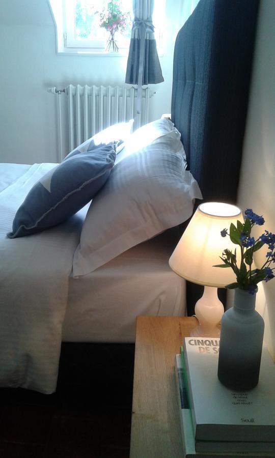 La Sauldre Bed & Breakfast Vailly-sur-Sauldre Exterior photo